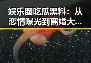 娱乐圈吃瓜黑料：从恋情曝光到离婚大战的全流程回顾