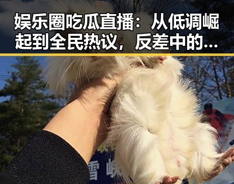 娱乐圈吃瓜直播：从低调崛起到全民热议，反差中的新玩法